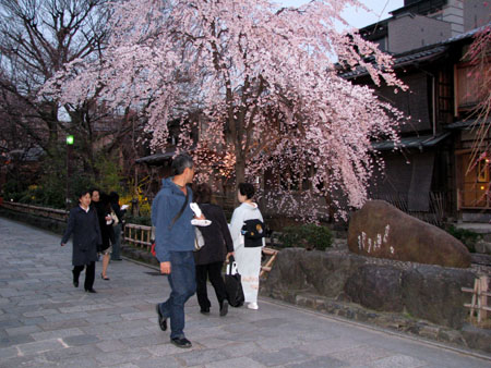 祇園白川 夜ざくら_e0048413_21451210.jpg