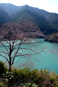 e0083517_22122135.jpg