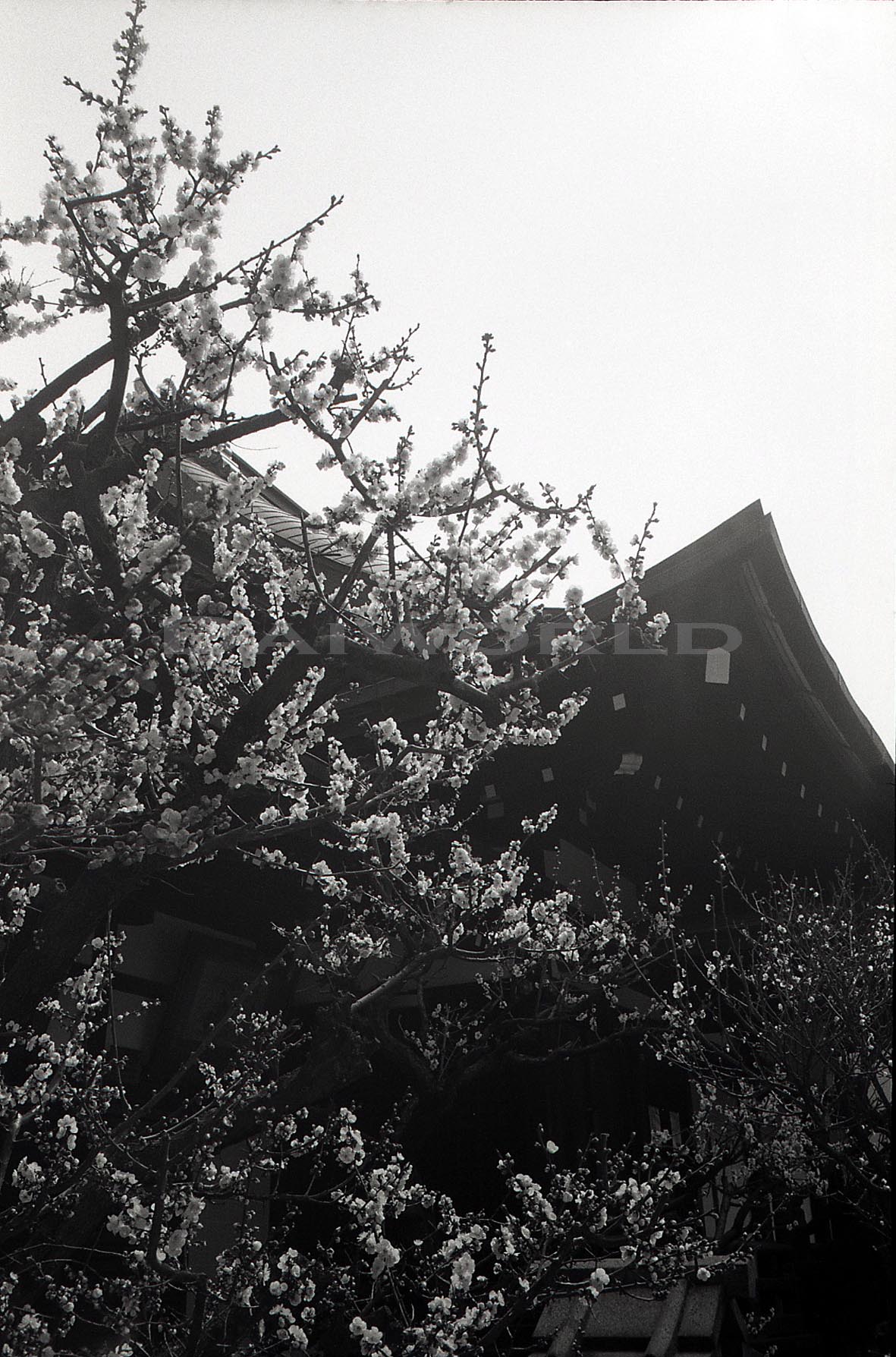 c0136419_23211874.jpg