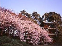 c0148623_07490.jpg