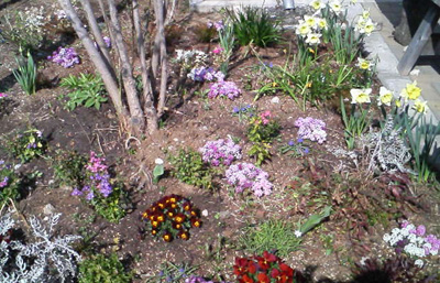 f0057829_13371292.jpg