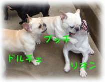 b0078030_22235761.gif