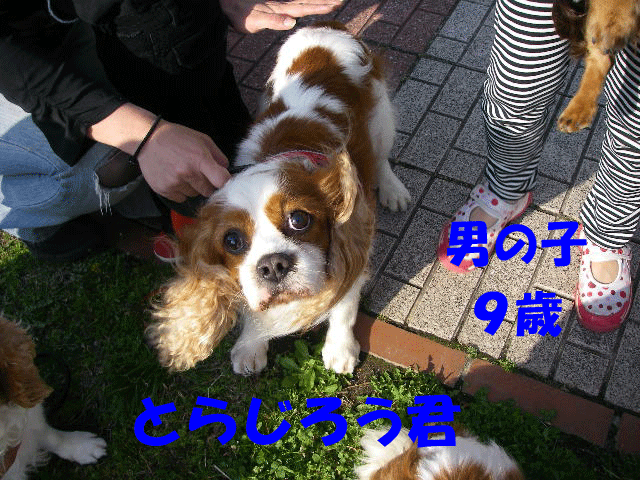 c0136838_2382215.gif