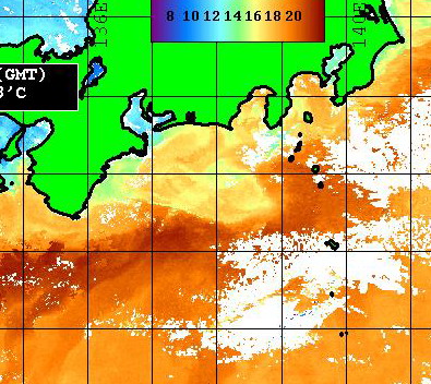 一夜にして　期待ハズレ　・・・・がっくし。 　　　　　　　[カジキ・マグロトローリング]_f0009039_10223487.jpg