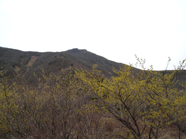 c0047341_7103533.jpg