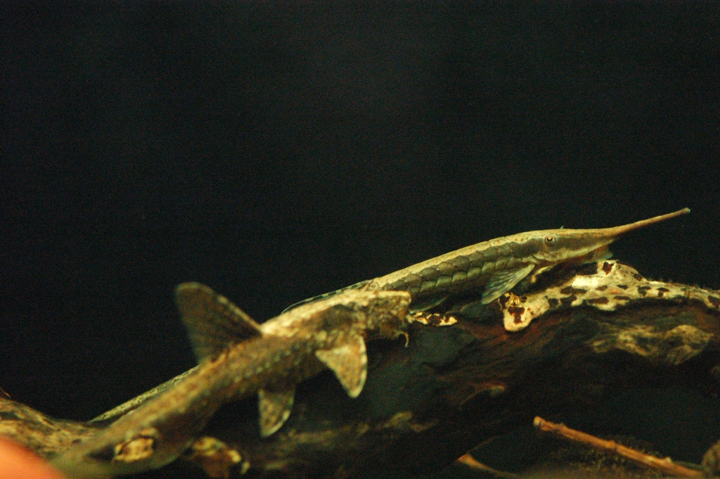 b0088646_98107.jpg