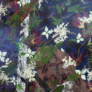 アートな押し花展〜いよいよ明日まで!_a0017350_2312363.jpg