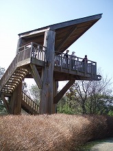 d0048350_14102384.jpg
