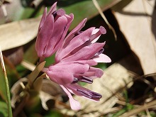 d0048350_141051.jpg