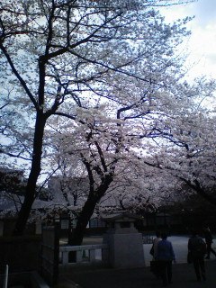 まりこです。初!靖国神社へ_d0122950_0343654.jpg