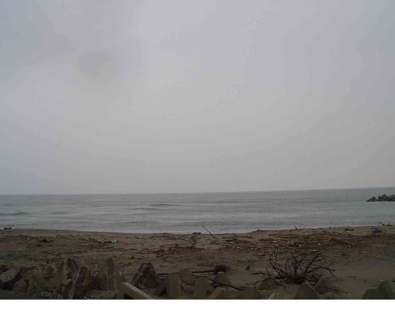 波情報_d0119852_8493224.jpg