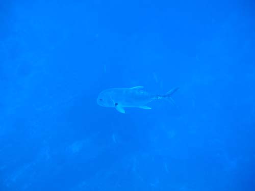 広井様ありがとうございました。_d0113459_20113295.jpg
