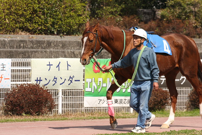 頑張れ！！ ナイトサンタンダー_a0077663_1941321.jpg