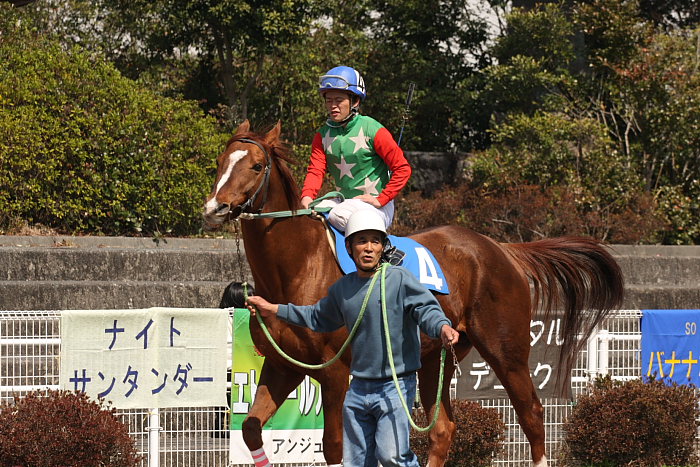 頑張れ！！ ナイトサンタンダー_a0077663_1943999.jpg