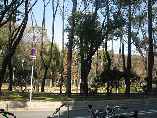 e0137672_90477.jpg