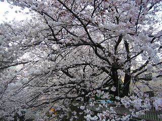 e0134878_2255889.jpg