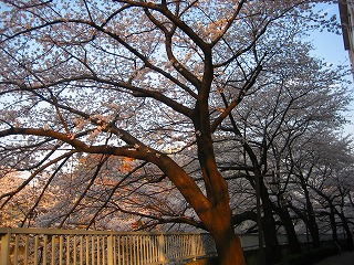 e0134878_2295090.jpg