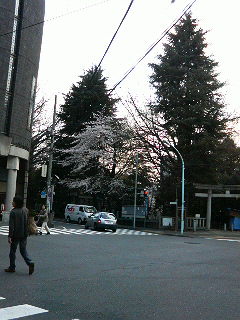 でででました!_a0075684_1201961.jpg