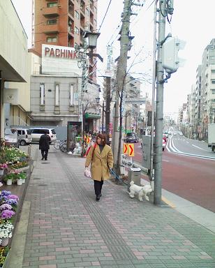 la grotteへの道_f0086488_2161341.jpg