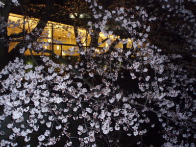 c0086895_20465110.jpg