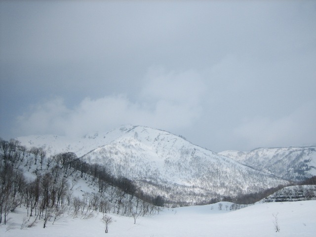 野伏ケ岳偵察!_c0147398_1223954.jpg