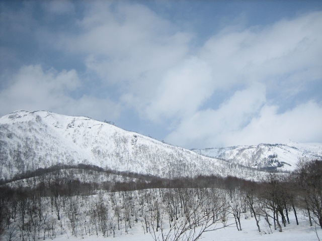 野伏ケ岳偵察!_c0147398_1232061.jpg
