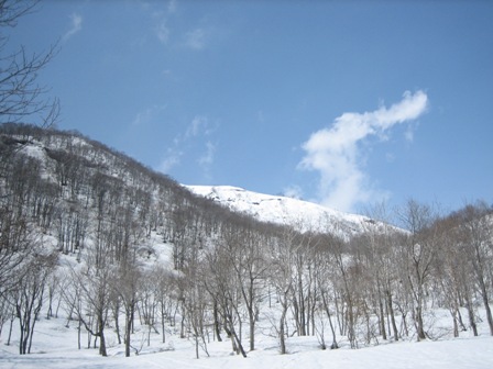 野伏ケ岳偵察!_c0147398_1242862.jpg