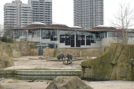 08ドイツ研修 16:木造2:ケルン動物園象舎_e0054299_91699.jpg