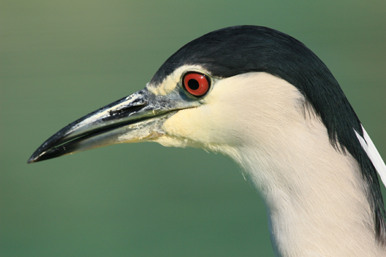 予想_b0016600_1023350.jpg