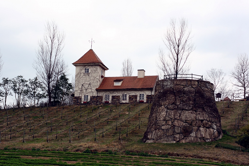 e0063003_139896.jpg