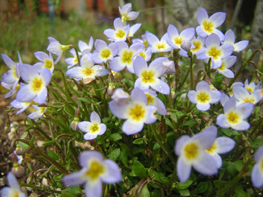 d0088611_0534532.jpg