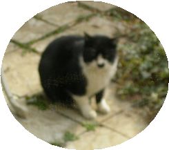 e0016412_21503669.jpg