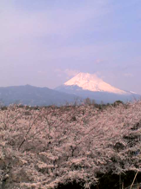 a0042313_22161314.jpg