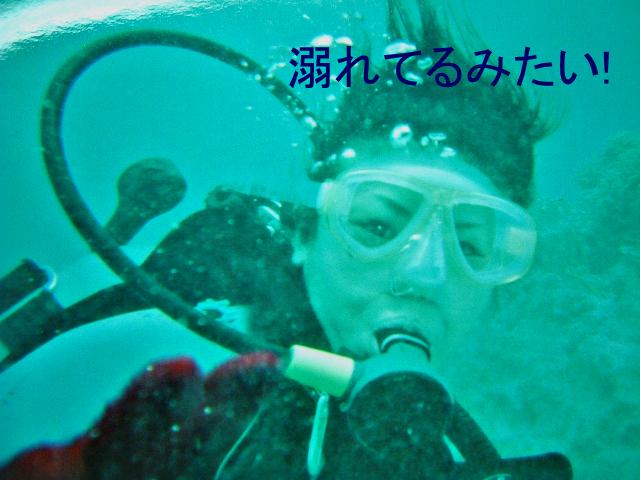 f0147821_1821827.jpg