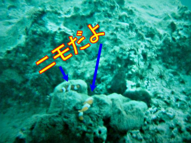 f0147821_1835821.jpg