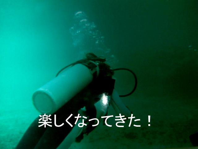 f0147821_184125.jpg