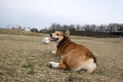 ボールなら　大小問わず　好敵手_b0031538_2345636.jpg