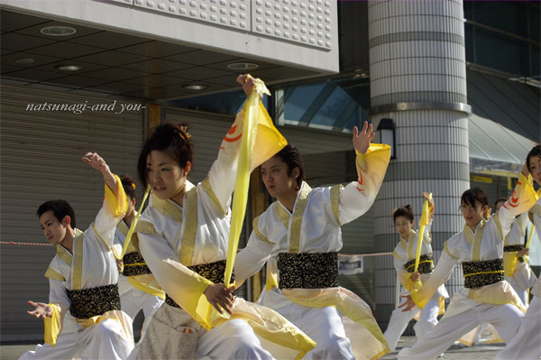 浜よさ　がんこ祭2008　*22_c0121738_1002810.jpg