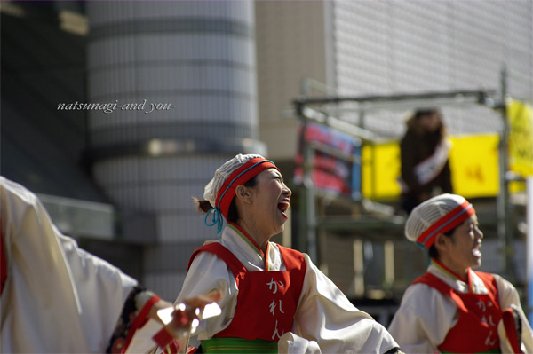 浜よさ　がんこ祭2008　*19_c0121738_828952.jpg