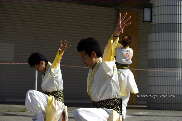 浜よさ　がんこ祭2008　*22_c0121738_9582250.jpg