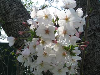 c0156345_23542188.jpg