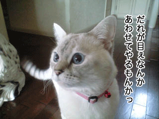 f0116546_16524312.gif