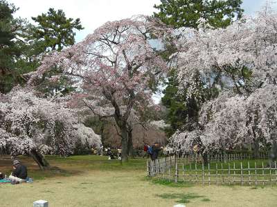 青春１８きっぷ　　京都　岡崎疏水船下り_d0138650_2345837.jpg