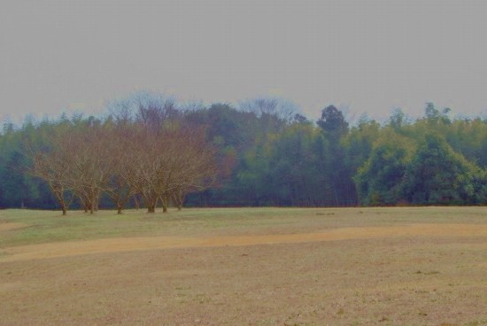 e0126350_1017293.jpg