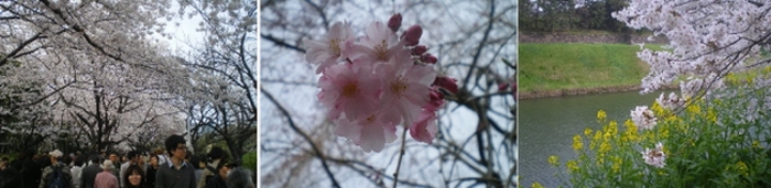 c0118352_23273759.jpg