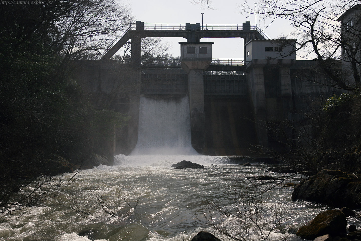 鳥取県 日野町 大宮ダム_f0091955_011636.jpg