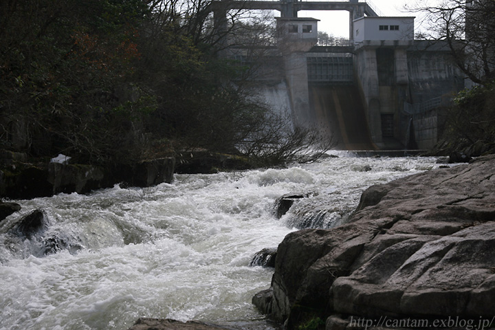 鳥取県 日野町 大宮ダム_f0091955_014429.jpg