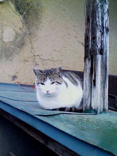 c0009461_2146652.jpg
