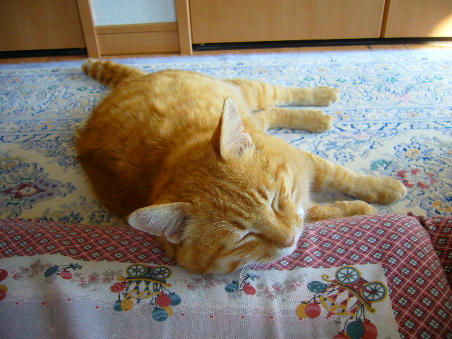 3月29日(土)春なのね~ ♪_f0060461_175244.jpg