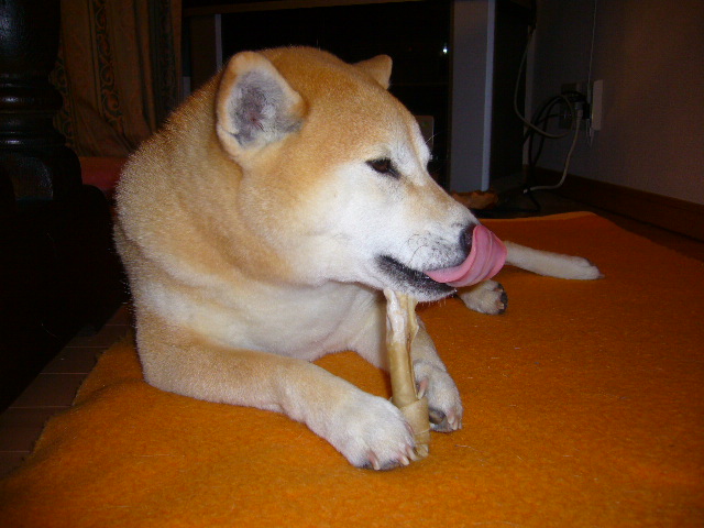 3月29日(土)春なのね~ ♪_f0060461_179358.jpg